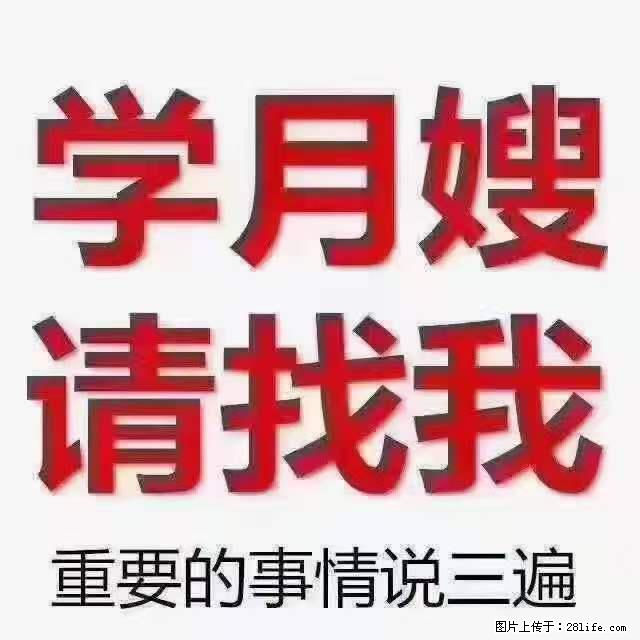 为什么要学习月嫂,育婴师? - 其他广告 - 广告专区 - 沈阳分类信息 - 沈阳28生活网 sy.28life.com