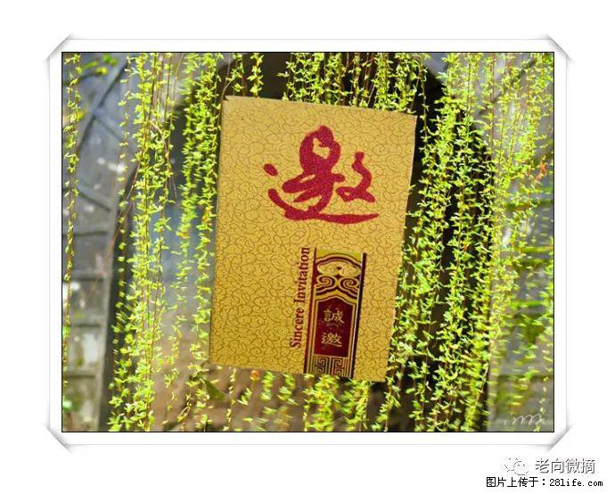 【春天，广西桂林灌阳县向您发出邀请！】开篇 - 游山玩水 - 沈阳生活社区 - 沈阳28生活网 sy.28life.com