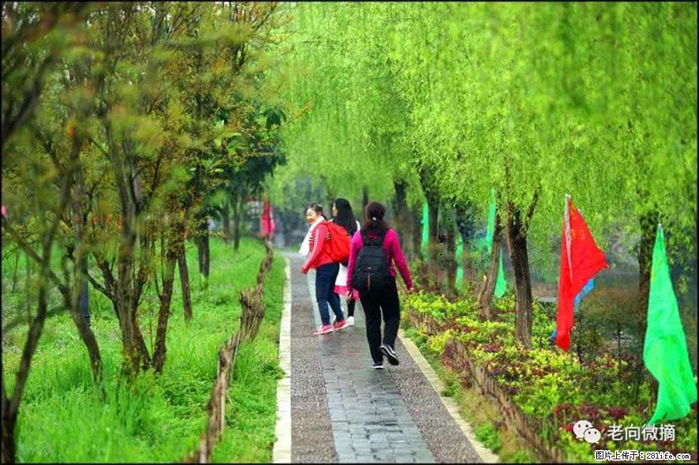 【春天,广西桂林灌阳县向您发出邀请!】江口老街又逢春 - 游山玩水 - 沈阳生活社区 - 沈阳28生活网 sy.28life.com