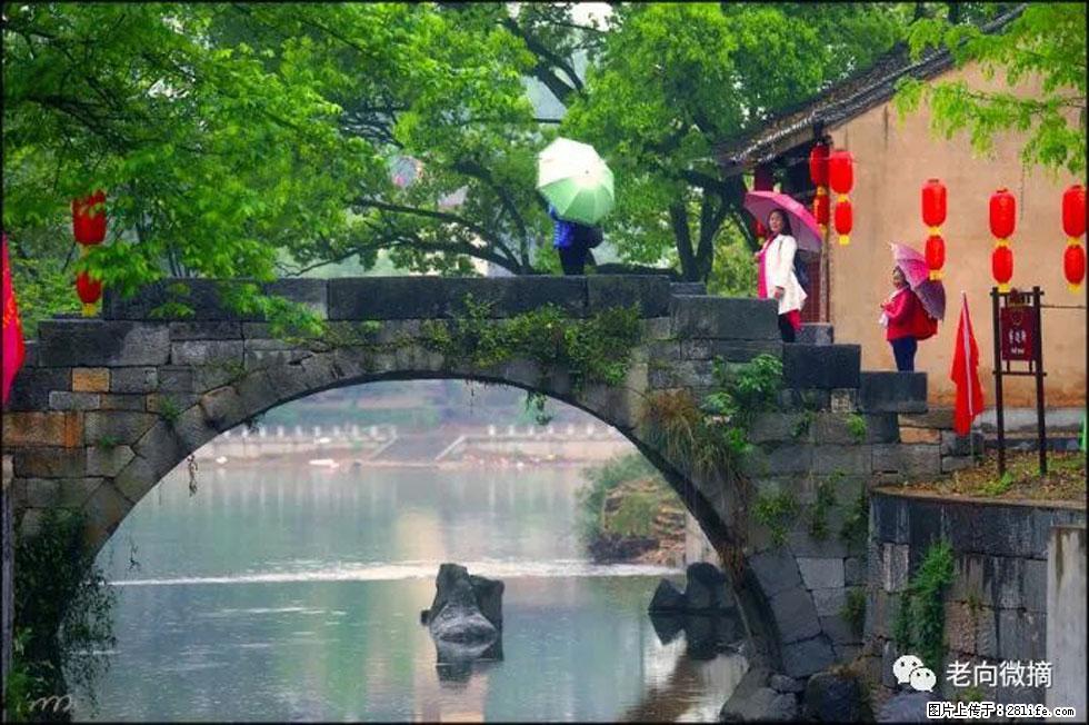 【春天,广西桂林灌阳县向您发出邀请!】江口老街又逢春 - 游山玩水 - 沈阳生活社区 - 沈阳28生活网 sy.28life.com