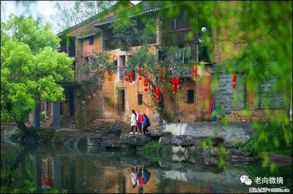 【春天,广西桂林灌阳县向您发出邀请!】江口老街又逢春 - 游山玩水 - 沈阳生活社区 - 沈阳28生活网 sy.28life.com