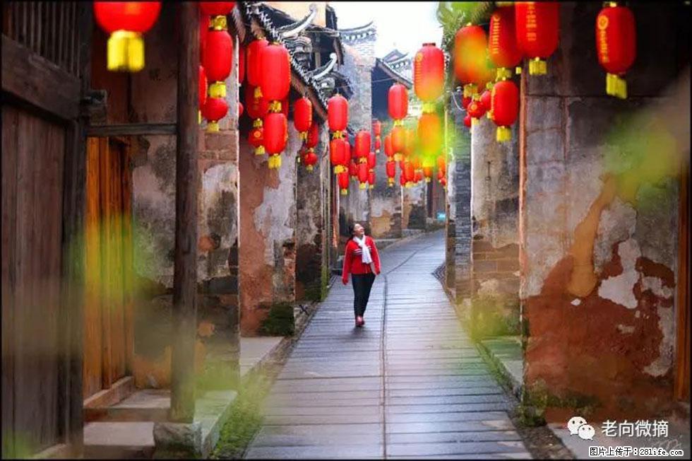 【春天,广西桂林灌阳县向您发出邀请!】江口老街又逢春 - 游山玩水 - 沈阳生活社区 - 沈阳28生活网 sy.28life.com