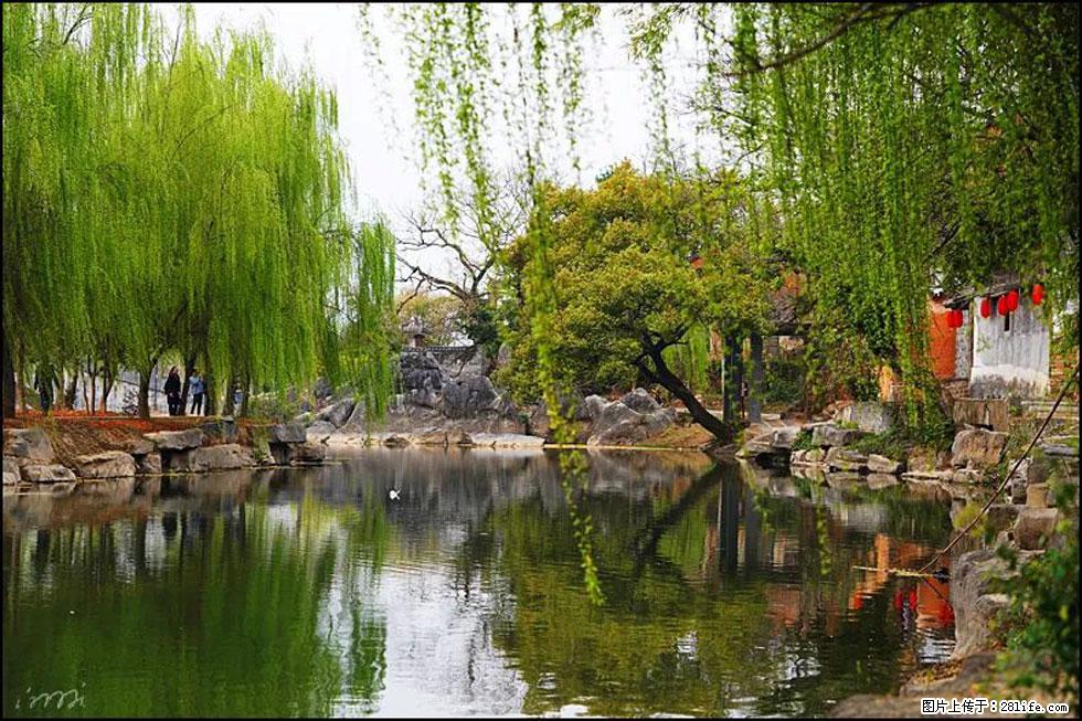 【春天,广西桂林灌阳县向您发出邀请!】江口老街又逢春 - 游山玩水 - 沈阳生活社区 - 沈阳28生活网 sy.28life.com