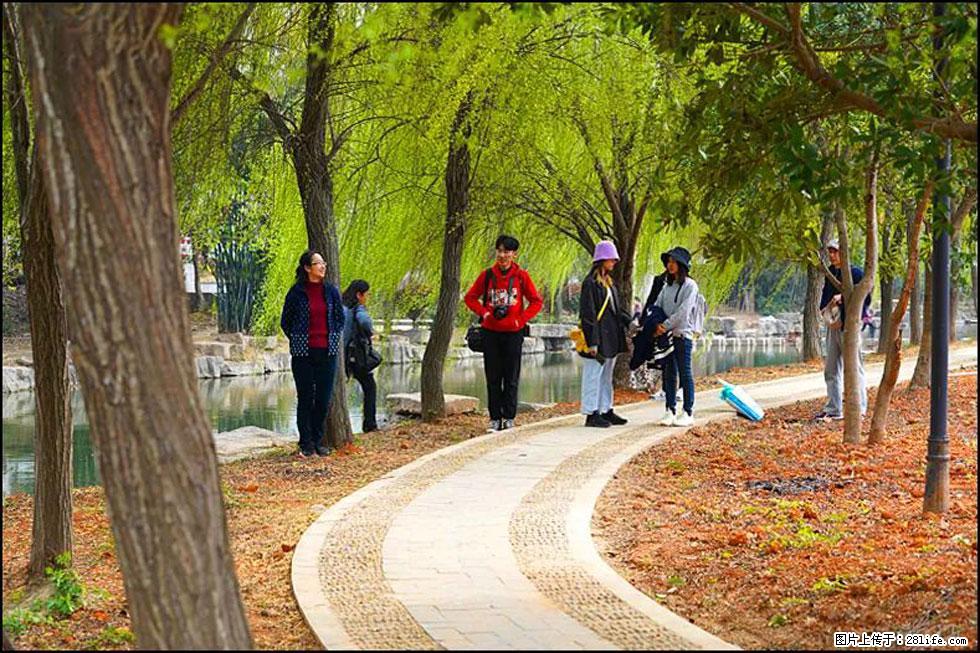 【春天,广西桂林灌阳县向您发出邀请!】江口老街又逢春 - 游山玩水 - 沈阳生活社区 - 沈阳28生活网 sy.28life.com