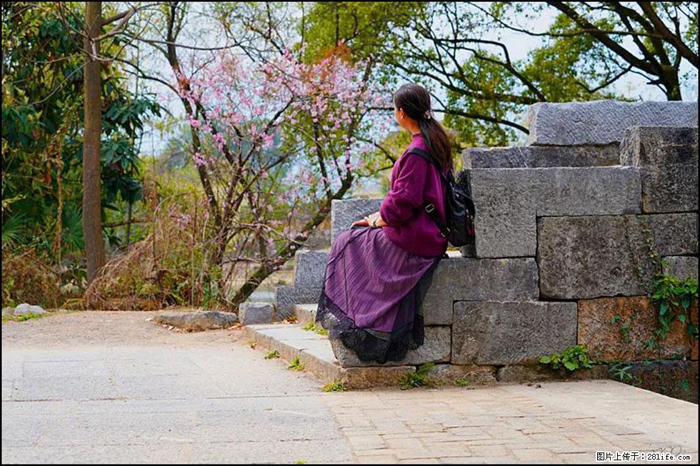 【春天,广西桂林灌阳县向您发出邀请!】江口老街又逢春 - 游山玩水 - 沈阳生活社区 - 沈阳28生活网 sy.28life.com