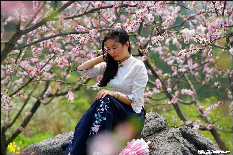 【春天，广西桂林灌阳县向您发出邀请！】望月岭上桃花开 - 游山玩水 - 沈阳生活社区 - 沈阳28生活网 sy.28life.com