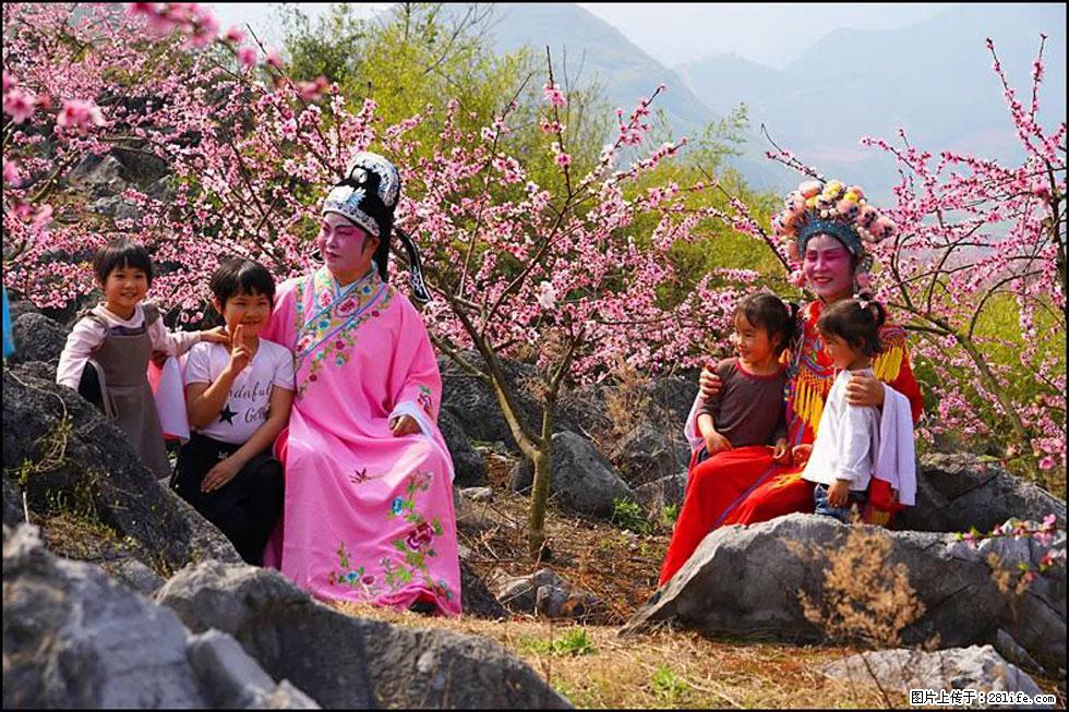 【春天，广西桂林灌阳县向您发出邀请！】望月岭上桃花开 - 游山玩水 - 沈阳生活社区 - 沈阳28生活网 sy.28life.com