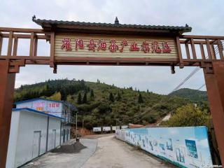 【灌阳县油茶产业示范区】一个有着充实的精神生活的人，对待身外之物自会有一种淡泊的态度 - 沈阳28生活网 sy.28life.com