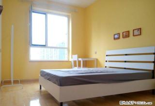 (单间出租)《短租月付》软件园附近 紧邻白塔河地铁口 轻轨 交通便利精装 - 沈阳28生活网 sy.28life.com