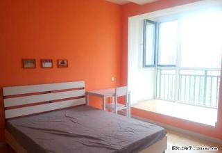 (单间出租)《低低公寓》奥体万达 紧邻地铁口 押一付一 精装修 免费看 - 沈阳28生活网 sy.28life.com