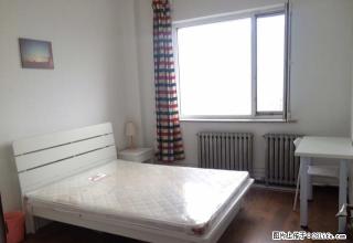 (单间出租)三好金科名苑 近盛京医院南湖 精装包网费取暖费和物业费可月付 - 沈阳28生活网 sy.28life.com