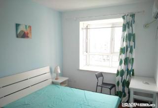 (单间出租)浑南浦江苑 近浑河堡天泊圣汇奥体地铁 精装包网 可月付房租 - 沈阳28生活网 sy.28life.com