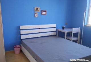 (单间出租)《月付》一客一锁 无中介费免费wifi免费保洁，欢乐颂体验馆 - 沈阳28生活网 sy.28life.com