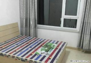 (单间出租)月付包网 唐轩公馆 华强城 江南甲地 无中介F 道义南大街 - 沈阳28生活网 sy.28life.com