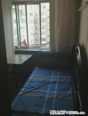 (单间出租)北站惠工 单双人间男生窗位宿舍公寓出租 月付 无中介看房费 - 房屋出租 - 房屋租售 - 沈阳分类信息 - 沈阳28生活网 sy.28life.com