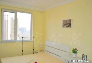 (单间出租)奥体中心地铁口 德馨苑 近兴隆大奥莱 包网 东北国际医院 - 沈阳28生活网 sy.28life.com