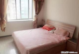 押一付一 皇姑北行 中央学府 精装修 无其他费用 - 沈阳28生活网 sy.28life.com