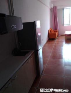 三好街新诚大公寓，押一付一，近音乐学院，东北大学，盛京医院 - 沈阳28生活网 sy.28life.com