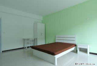 (单间出租)特惠 浑南音乐学院 建筑大学附近 精装 家电齐全 免费网 - 沈阳28生活网 sy.28life.com