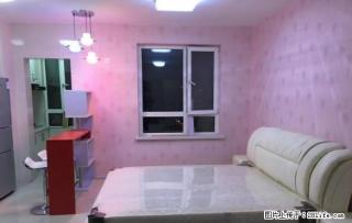 云峰北街地铁口 巴塞罗那 精装一室 新出房源 家乐福 万达 - 沈阳28生活网 sy.28life.com