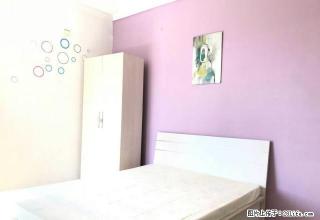 (单间出租)奥体艺术家园 月付年租 近万达广场兴隆曙光大厦荣兴国际主卧南 - 沈阳28生活网 sy.28life.com