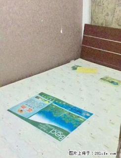 押一付一无中介温州城近沈阳站地铁太原街商圈万达新天地近中华路 - 沈阳28生活网 sy.28life.com