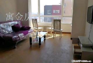 寓金！金沙湾两室精装修包物业取暖！交通便利！可做饭 - 沈阳28生活网 sy.28life.com