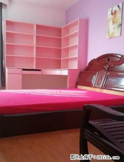 (单间出租)唐轩公馆包网月付近航空航天大学地铁积家购物福瑞佳华瑞万家 - 沈阳28生活网 sy.28life.com