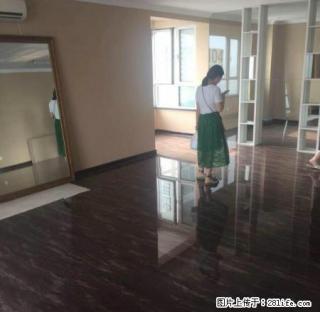 中街 大悦城 88平精装 办公场所 C座楼下就是步行街开间 - 沈阳28生活网 sy.28life.com