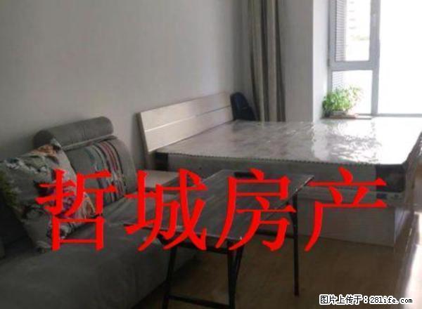 浑南 首府 奥体中心 精装50平 可短租 有空调 - 房屋出租 - 房屋租售 - 沈阳分类信息 - 沈阳28生活网 sy.28life.com