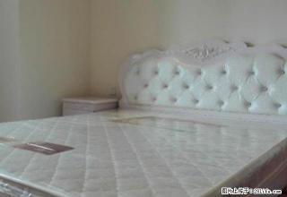 展览馆 佳兆业中心 实图拍摄 封闭式公寓 租多久必须你说的算 - 沈阳28生活网 sy.28life.com