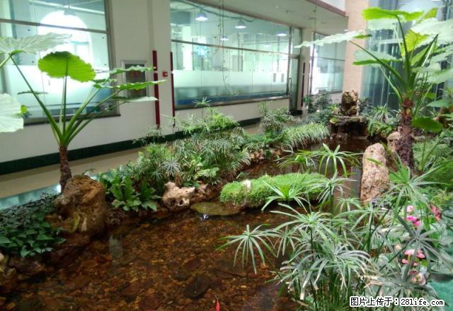 临街写字间出租每天每平1.5元南向北向任选 - 房屋出租 - 房屋租售 - 沈阳分类信息 - 沈阳28生活网 sy.28life.com