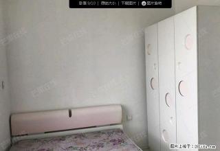 北一路万达星摩尔旁 鑫丰俪城 采光好 家电全 拎包即住 - 沈阳28生活网 sy.28life.com