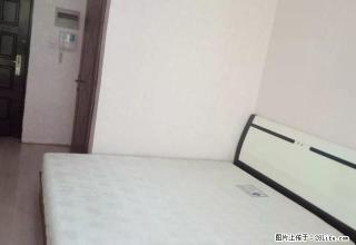 房租月付 北行 中乾商务花园 经典生活 亚洲城 名仕之都 - 沈阳28生活网 sy.28life.com