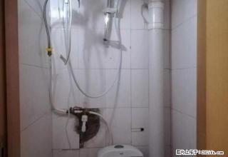 金星小区 肿瘤医院 小河沿 两室南北精装 次顶 钥匙看房方便 - 沈阳28生活网 sy.28life.com