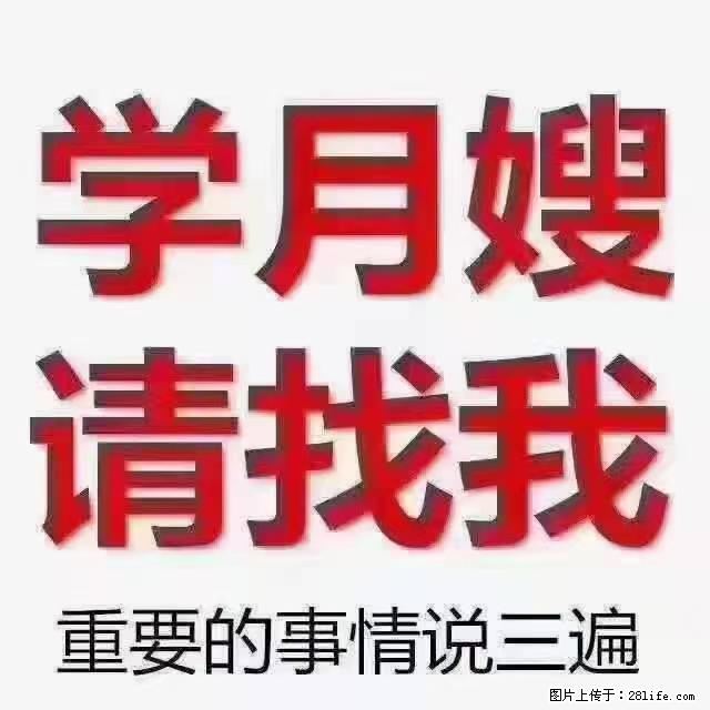 【招聘】月嫂，上海徐汇区 - 职场交流 - 沈阳生活社区 - 沈阳28生活网 sy.28life.com