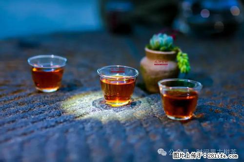 时间果百年古树2025年春红茶 - 购物交流 - 沈阳生活社区 - 沈阳28生活网 sy.28life.com