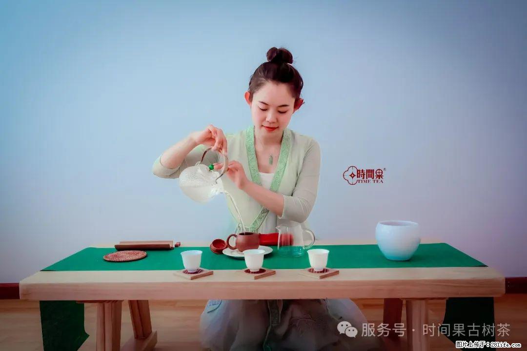 时间果百年古树龙珠普洱生茶 - 购物交流 - 沈阳生活社区 - 沈阳28生活网 sy.28life.com