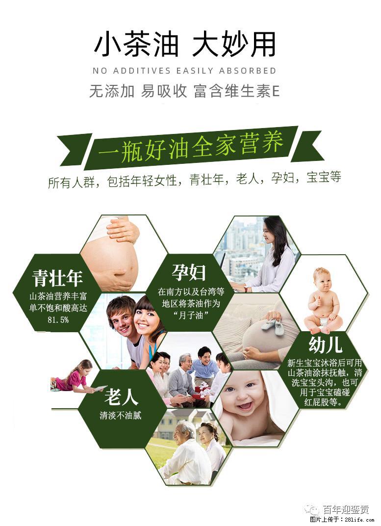 世界没有真相，只有认知，最好的食用油是中国的山茶油！ - 沈阳生活资讯 - 沈阳28生活网 sy.28life.com