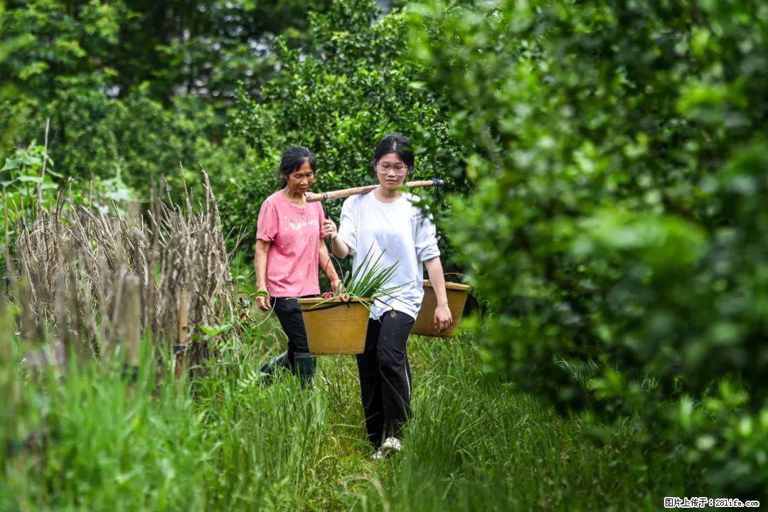 全网追的“扁担女孩”，找了一份暑假工，时薪12元 - 沈阳生活资讯 - 沈阳28生活网 sy.28life.com