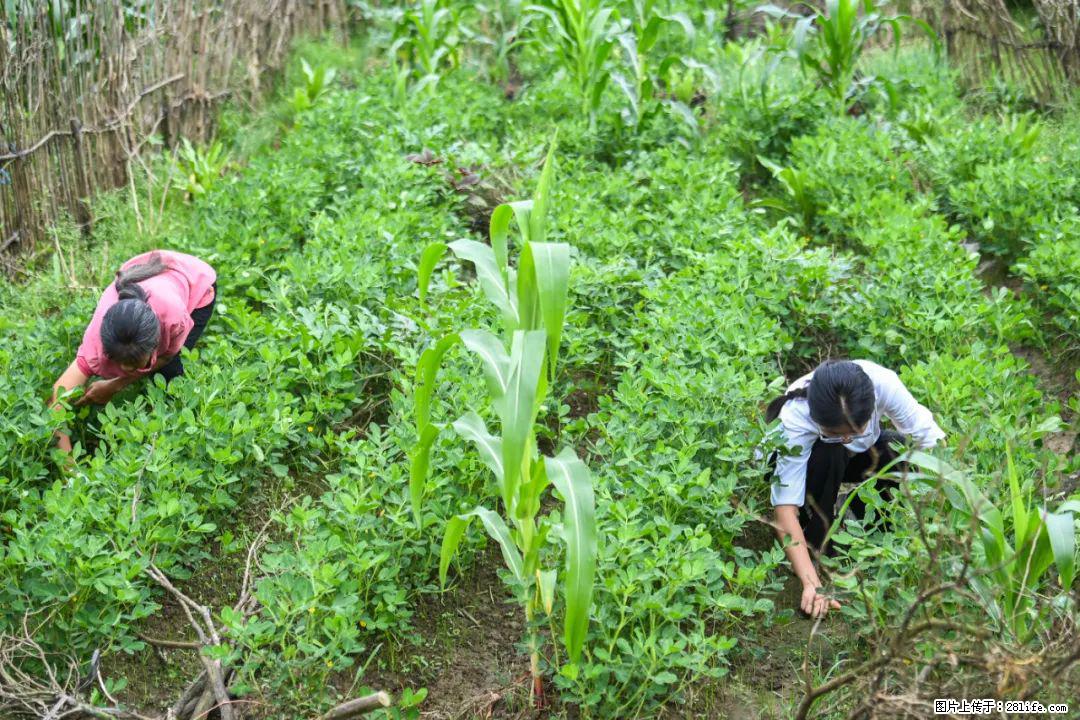 全网追的“扁担女孩”，找了一份暑假工，时薪12元 - 沈阳生活资讯 - 沈阳28生活网 sy.28life.com
