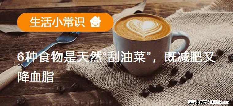 【生活小常识】6种食物是天然“刮油菜”，既减肥又降血脂 - 沈阳生活资讯 - 沈阳28生活网 sy.28life.com