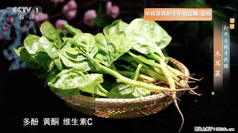 比牛奶补钙还厉害！凉血解毒、稳血糖...这菜冬天必吃，很多人却当草 - 沈阳生活资讯 - 沈阳28生活网 sy.28life.com