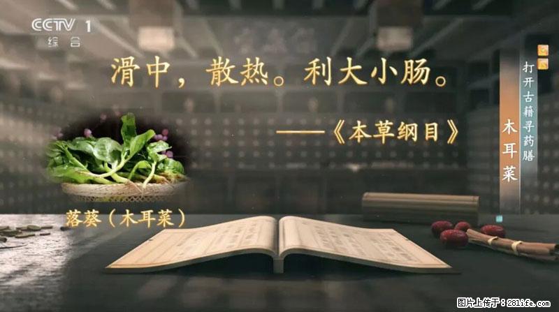 比牛奶补钙还厉害！凉血解毒、稳血糖...这菜冬天必吃，很多人却当草 - 沈阳生活资讯 - 沈阳28生活网 sy.28life.com