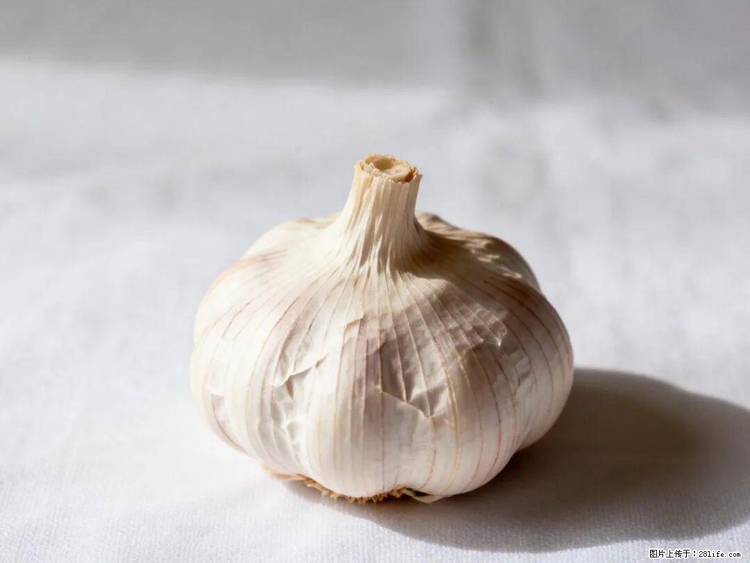 关于大蒜，除了“天然抗生素”，这4个谣言更该警惕! - 沈阳生活资讯 - 沈阳28生活网 sy.28life.com