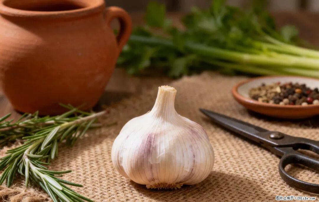 关于大蒜，除了“天然抗生素”，这4个谣言更该警惕! - 沈阳生活资讯 - 沈阳28生活网 sy.28life.com