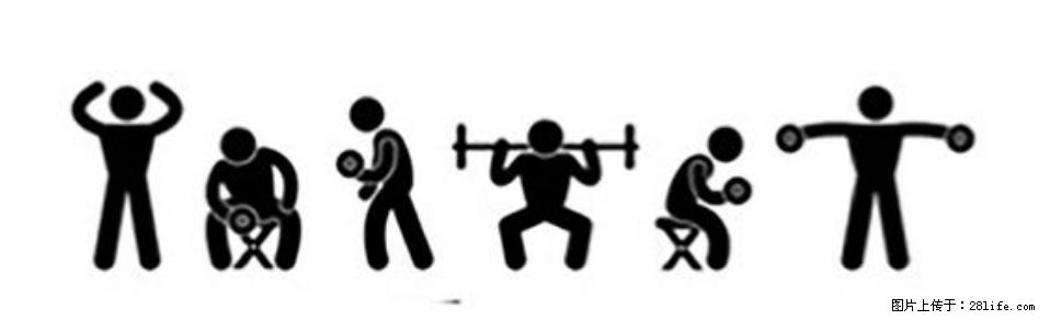 坚持这种运动6个月，心脏有了显著变化！不是跑步，也不是走路 - 沈阳生活资讯 - 沈阳28生活网 sy.28life.com