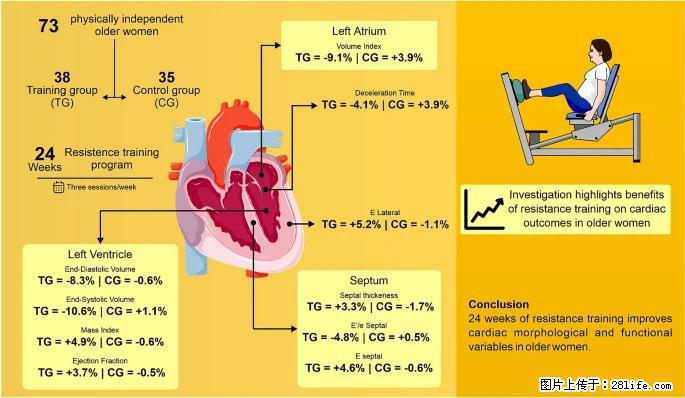 坚持这种运动6个月，心脏有了显著变化！不是跑步，也不是走路 - 沈阳生活资讯 - 沈阳28生活网 sy.28life.com