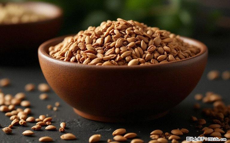 这三苦是三高“克星”，心血管干净不易堵！每天吃一点，指标慢慢降下来~ - 沈阳生活资讯 - 沈阳28生活网 sy.28life.com