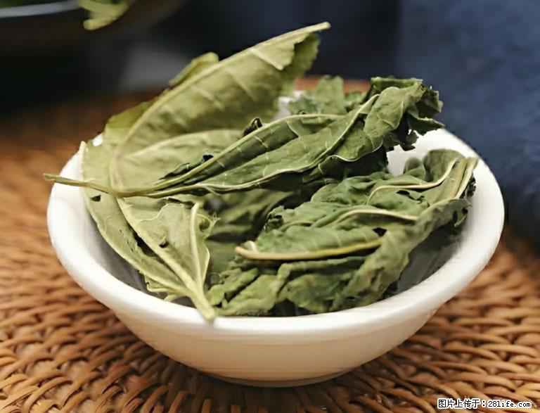 这三苦是三高“克星”，心血管干净不易堵！每天吃一点，指标慢慢降下来~ - 沈阳生活资讯 - 沈阳28生活网 sy.28life.com